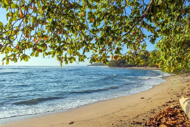 Beach in Costa Rica, blue sky, blue sea, trees.
