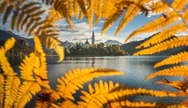 Island with church, mountains, yellow leaves, ferns, water, fall.
