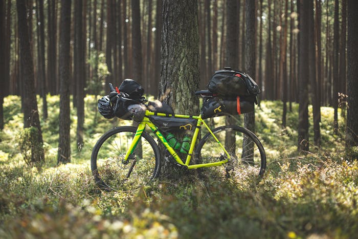 Affordable Eco Friendly Travel Destinations for 2025