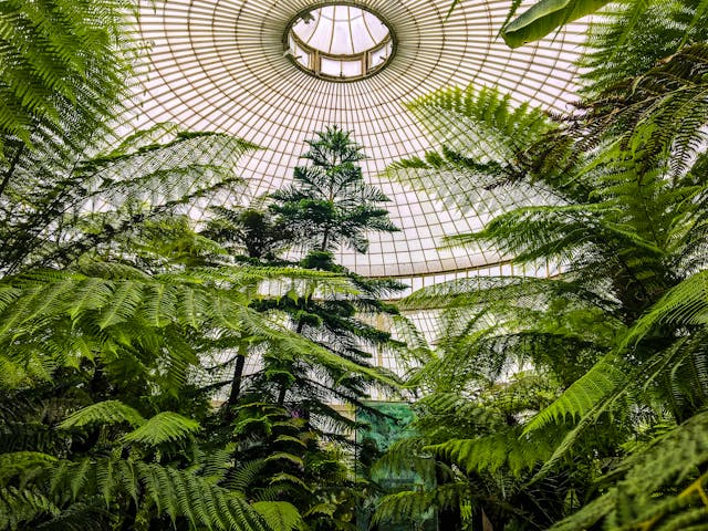 green trees under a dome building